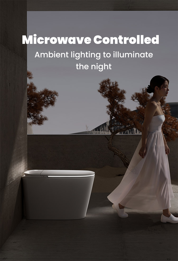 Smart Toilet 903
