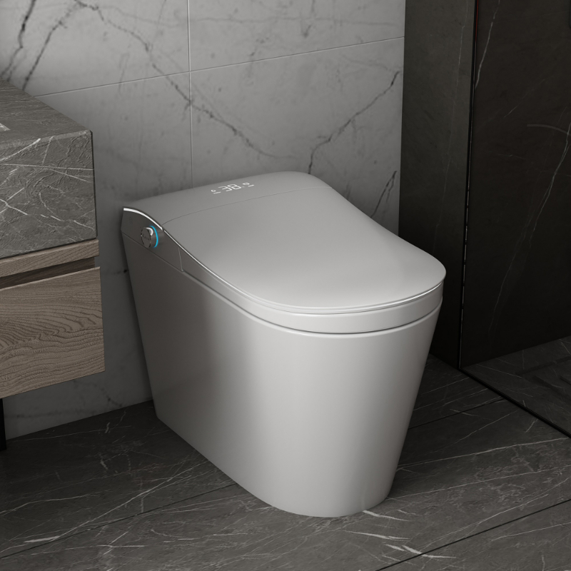 Intelligent Smart Toilet Bidet Combo | Automatic Flush, Night Light, Remote Control | Luxury Bathroom Solution